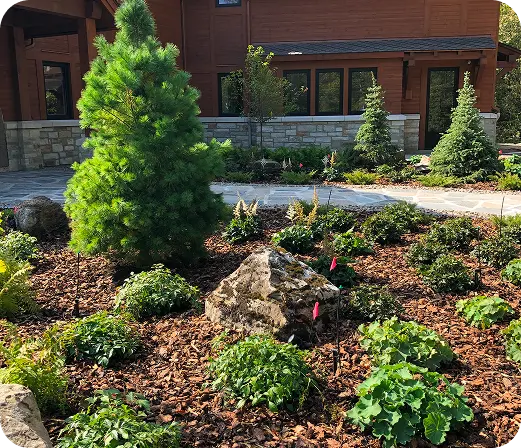 Amenagement paysager plantations Lebo Construction